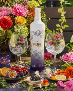 CHIC BLACKBERRY GIN